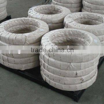 Galvanized Steel Strip photo-6