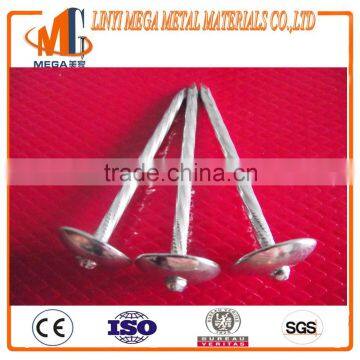 point diamond umbrella head twisted shrank corrugated roofing nail made by factory