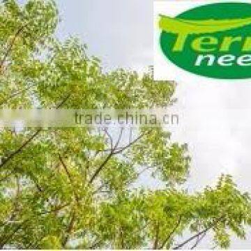 Ayurveda The Great Neem Oil photo-4