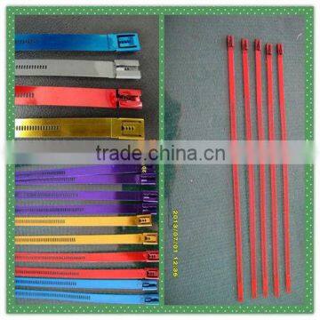 Ladder Cable Ties for telecommunication,electricity,shipbuilding