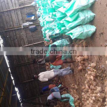 Polllachi Mature Cocounts photo-4