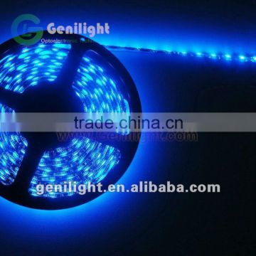 60pcs 5050 smd led strip light Blue Color