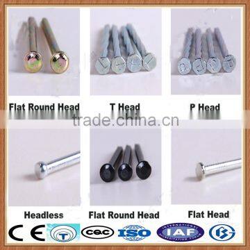 Common Roofing Steel Nail photo-6