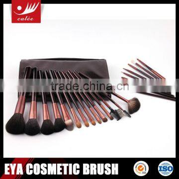 Fashionable 22pcs professional cosmetic brush set with handbag