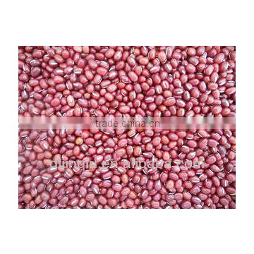 hps pearl Adzuki bean 2012 crop