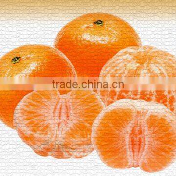 Cirtus Fruit