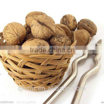 walnuts with thin shell ,walnut kernels sortingfor sale