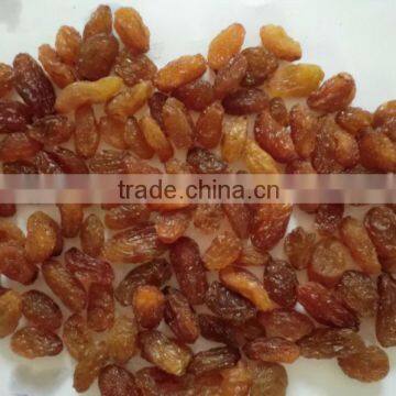 sun dried sultana raisins
