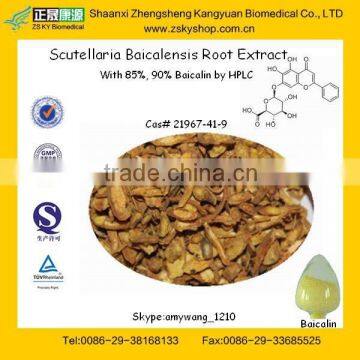 HPLC 85%, 90% Baicalin from 100% Natural Scutellaria Baicalensis Extract