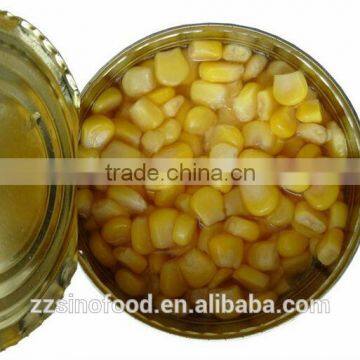 Canned Sweet Corn with Super Young Yellow Sweet Corn