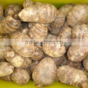 Fresh Taro photo-2