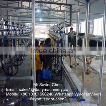 Dairy Farm Automatic Milking System , Milking Parlor For Cow