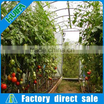 Agricultural geodesic dome tomato greenhouse used sale