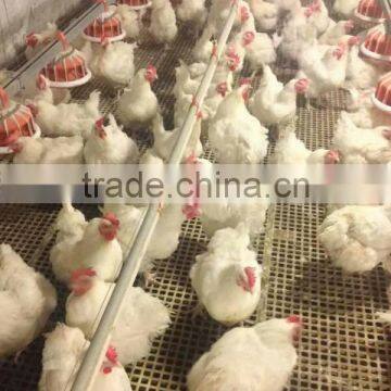 Hot sale long lifetime for chicken goat used plastic gride floor