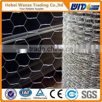 Galvanized Hexagonal Weave netting