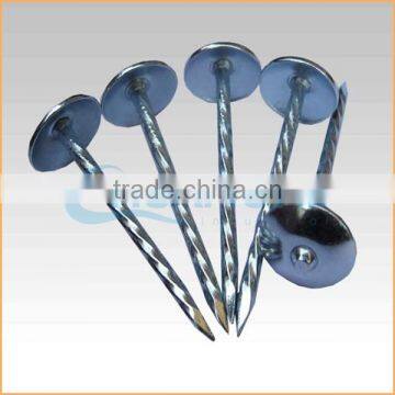 Top Quality Best Quality and Cheaper Big Head Roofing Nails Trusted Chuanghe Suppliers From Com photo-5