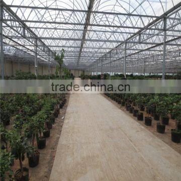 PC Sheet / Polycarbonate Greenhouse for Flower Growing photo-4