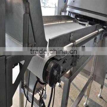 New Software and Design CCD Belt Type Seafood Shrimp Color Sorter Machine photo-4