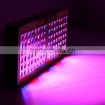 Top Seller Mars Hydro Reflector 96 Cob LED Grow Light Full Spectrum Indoor Greenhouse Reflector Hydroponic Lighting photo-5