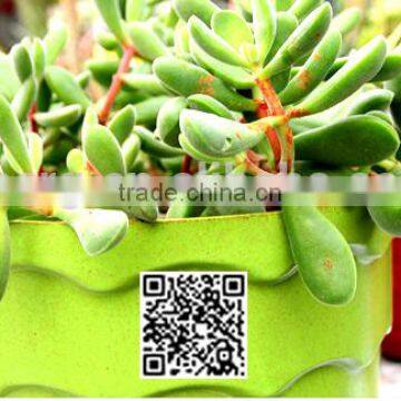 260*215 Biodegradable Colorful Plant Flower Pot Eco Planer photo-4