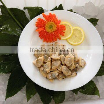 America Standard Short Necked Clam Meat photo-6