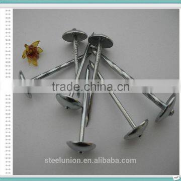 Roofing Nails Umbrella Head/Galvanized Roofing Nails Price/Roofing Nails