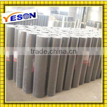 Welded Wire Mesh /Chain link fence alibaba china