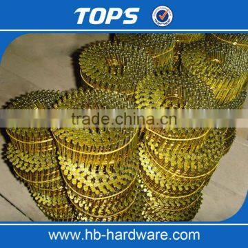 Vinyl Coated Screw Coil Nails Price photo-4