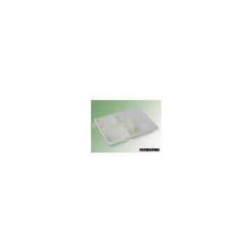 Biodegradable Disposable Tray