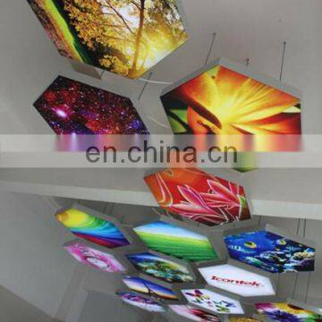 Ceiling uv printer / 2 meter size ceiling uv