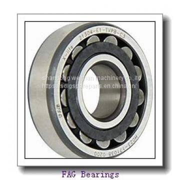 FAG Bearing