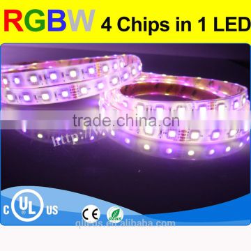 Durable multicolor 5050 rgbw led strip