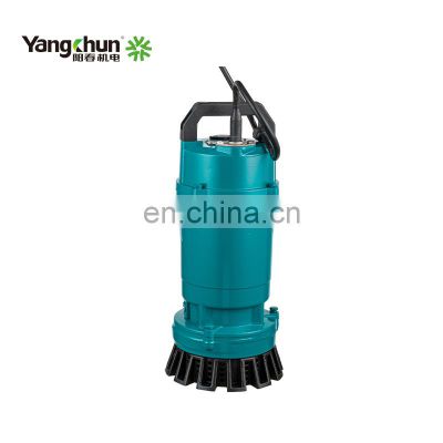 Mini Submerged Electric Submersible Clean Water Pump With Float Switch