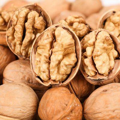 New Crops Wholesale Walnut Kernels Halves Competitive Price Size 30 32 34 photo-5
