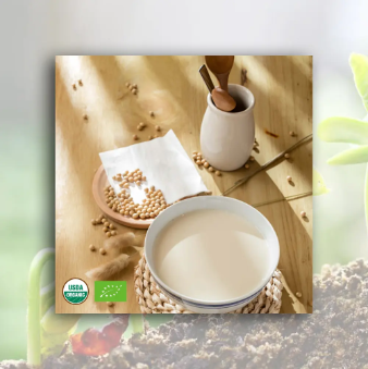 Organic Soybean Milk Powder photo-4