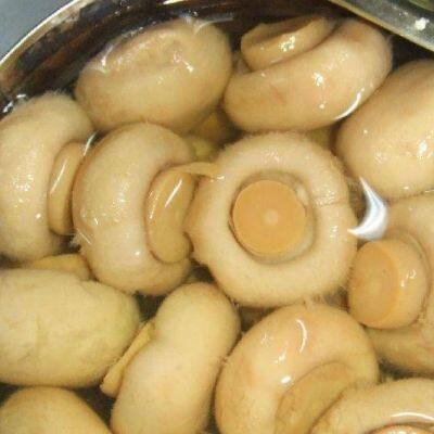 Factory Price Bean Product Processing Machinery Canned Beans Production Line