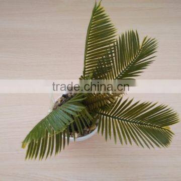 Outdoor Bonsai Rose Blossom Tree,mini Fake Agave Plant Treens photo-5