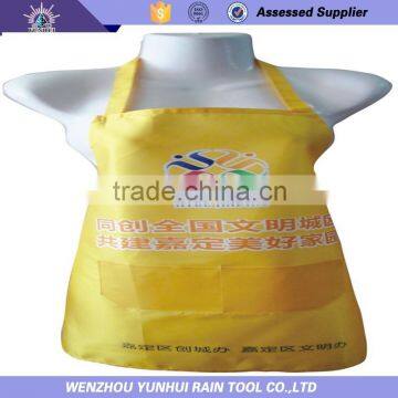 Female kitchen Apron