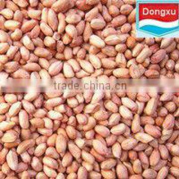 long peanut kernel
