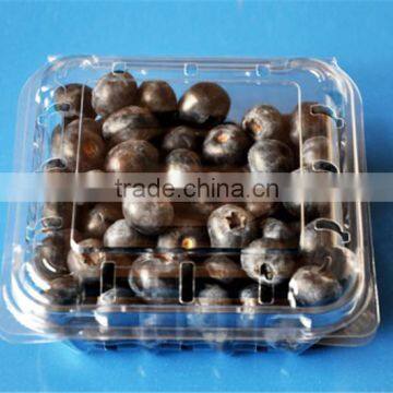 Best selling blueberry small plastic package box