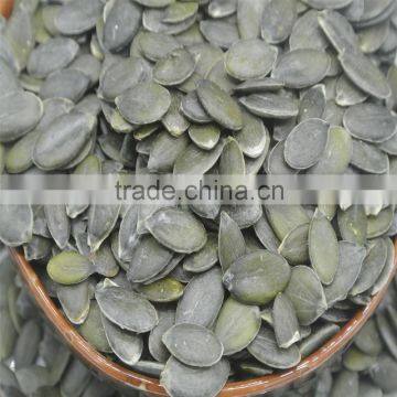 Cashew Nut Pumpkin Seeds Kernels GWS New Crop photo-3