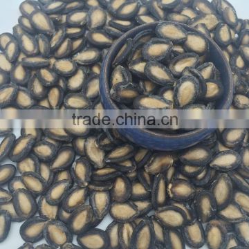 Chinese Watermelon Seed Black Seedless Watermelon Seed