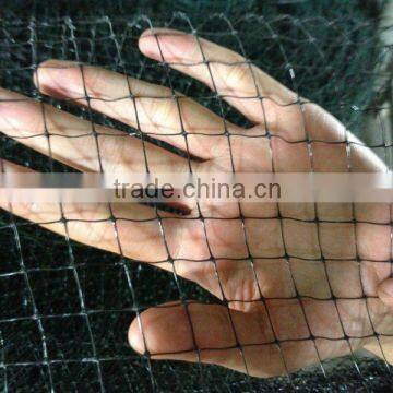 Anti Bird Net For Crop Protection