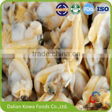 Frozen Boiled Cooked short-necked clam meat