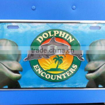 licence plate
