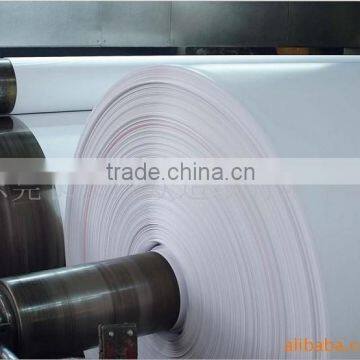 Food Grade One Side pe Coated Paper in Roll/paper in Sheet for Paper Cup, Paper Cup Raw Material photo-5