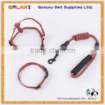 Custom Nylon Adjustable Buckle Dog Collar and Leash, Sell Well Dog Leash