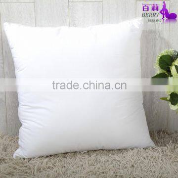 Indoor Home or Hotel Cushion