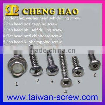 Taiwan Made Stainless Steel Self Tapping Fasteners