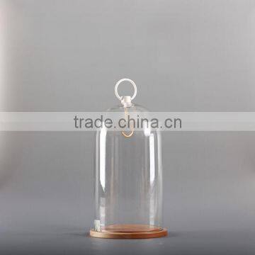 glass colche bell jar with brass hook and wooden base